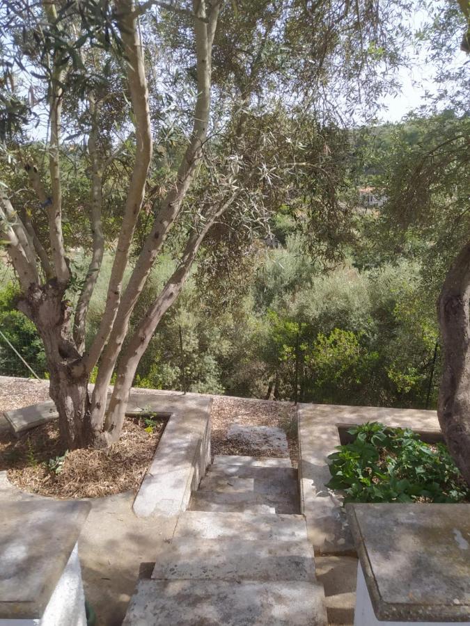 Casa Olea Villa Sorso Exterior photo